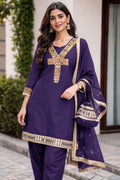 Elegant Mirror Work Suit